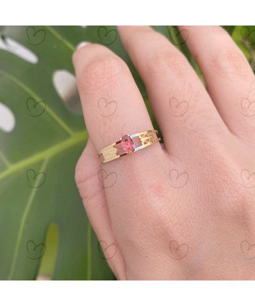 Anel Formatura Aro Duplo Oval Ciências Contábeis Ouro 18k