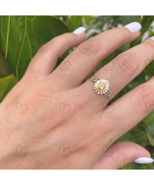Anel Formatura Gota Pizza Farmácia Ouro 18k