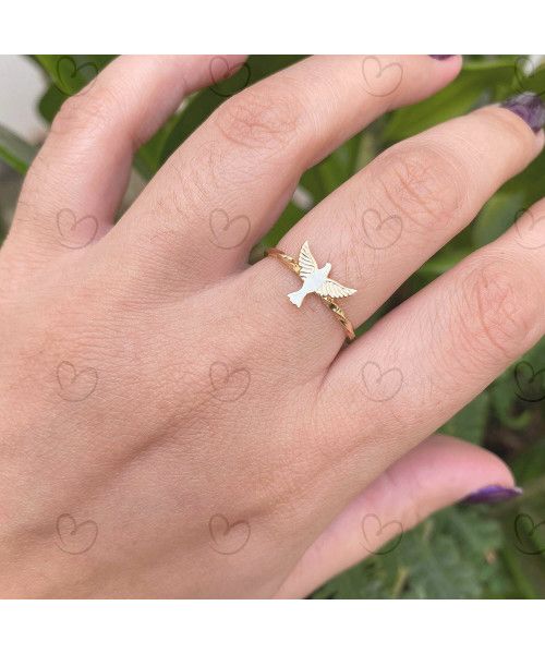 Anel Espírito Santo com Aro Torcido Ouro 18k