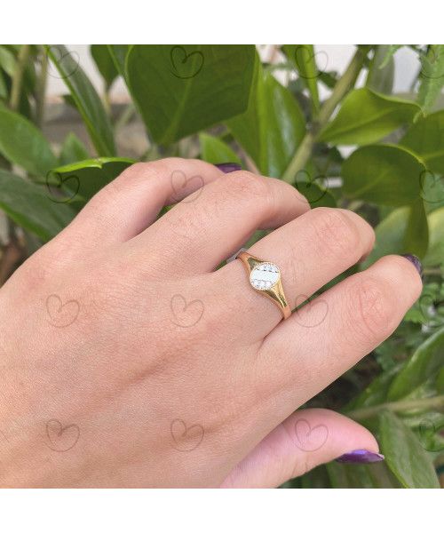 Anel Chancela Faixa Oval P Ouro 18k