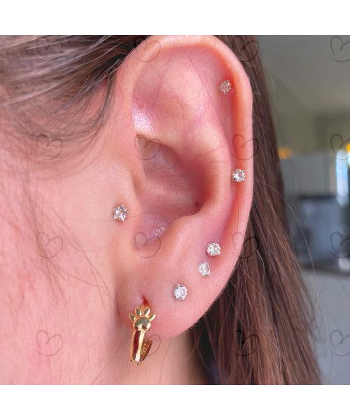 Brinco Argola Pet Patinha Lisa Ouro 18k