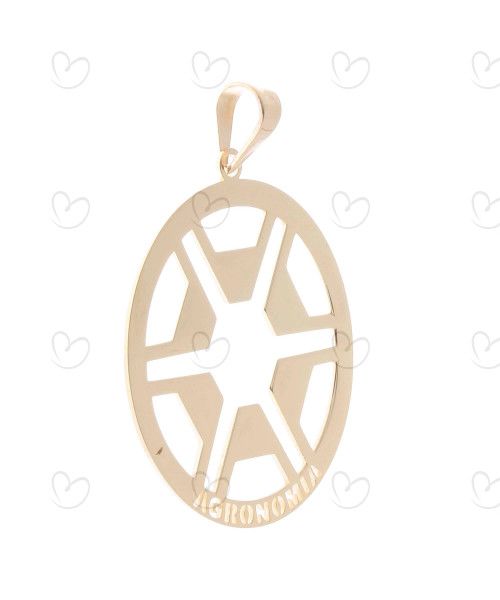 Pingente Agronomia 2.4cm Ouro 18k