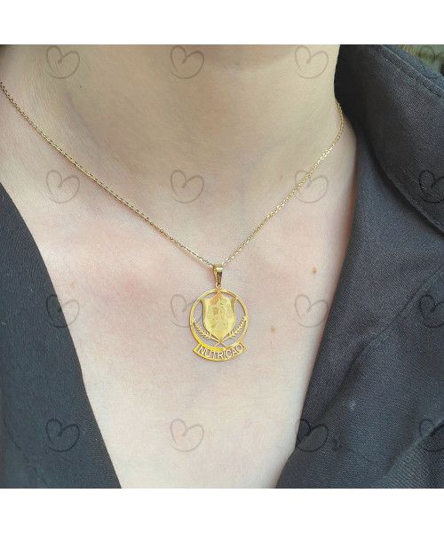 Pingente Nutrição Escrito Ouro 18k