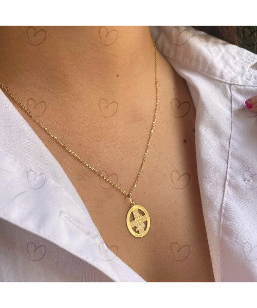 Pingente Profissão Biomedicina Ouro 18k