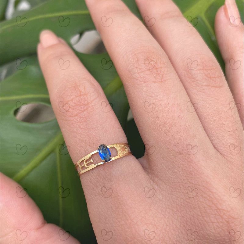 Anel Formatura Aro Duplo Oval Psicologia Ouro 18k
