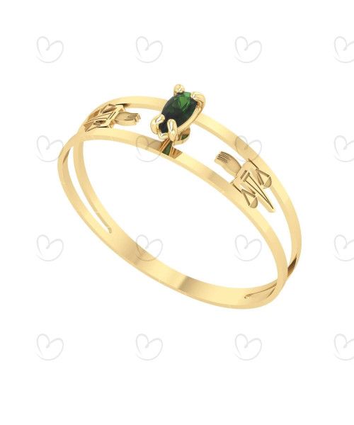Anel Formatura Aro Duplo Gota Pequena Serviço Social Ouro 18k
